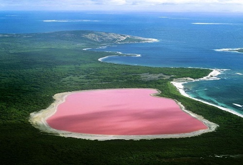 hồ nước hồng Hiller