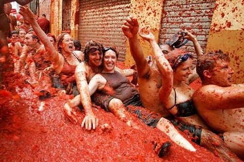 lễ hội cà chua