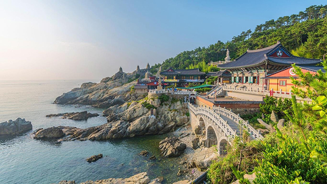 thành phố biển Busan
